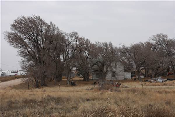 Stout House (12/18/2014 - Credits: Yousef Kazemi)