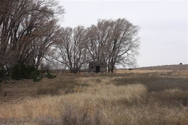 Nightmare in the Country - Kenton Ranch (12/10/2014 - Credits: Yousef Kazemi)