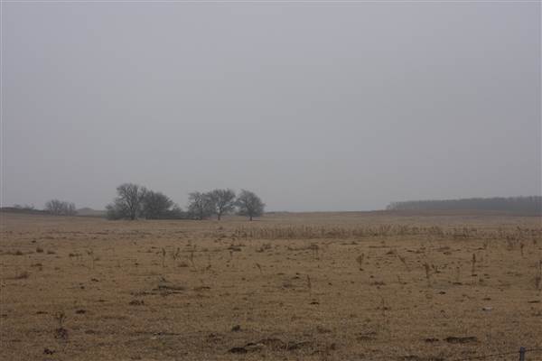 Various Woodward Landscapes (12/10/2014 - Credits: Yousef Kazemi)
