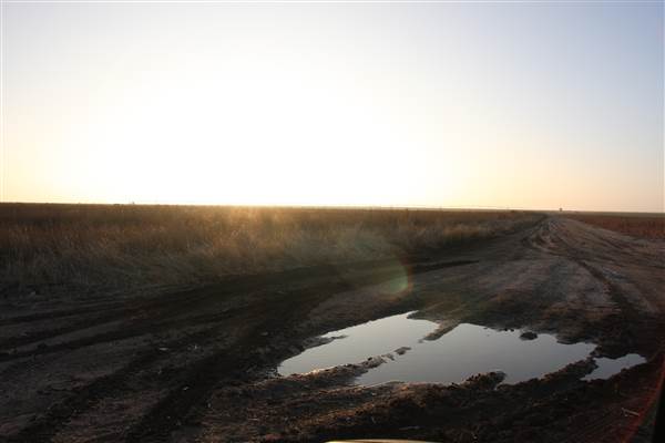Hwy 412/36 - Guymon Area (12/11/2014 - Credits: Yousef Kazemi)