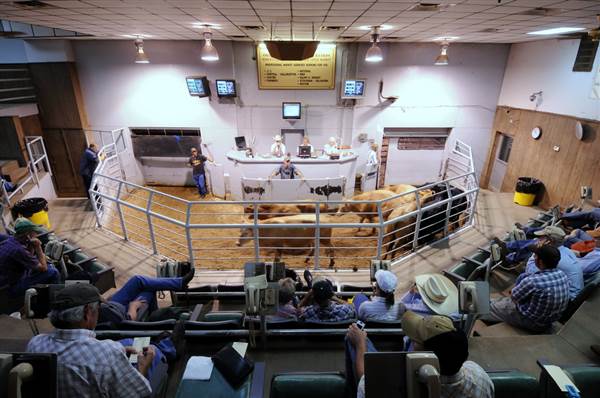 Oklahoma City Stockyards (7/18/2014 - Credits: Oklahoma Tourism - TravelOK)