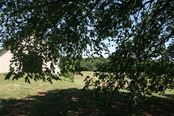 Coffin Farm (Updated) (4/28/2015 - Credits: Alison Naifeh)