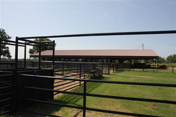 NFL Farms (7/2/2015 - Credits: Yousef Kazemi)