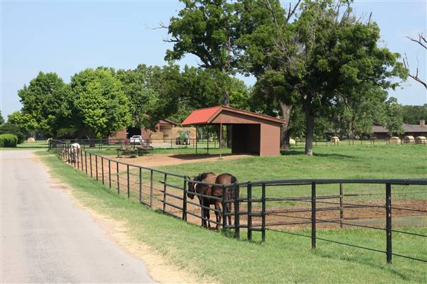NFL Farms (7/2/2015 - Credits: Yousef Kazemi)