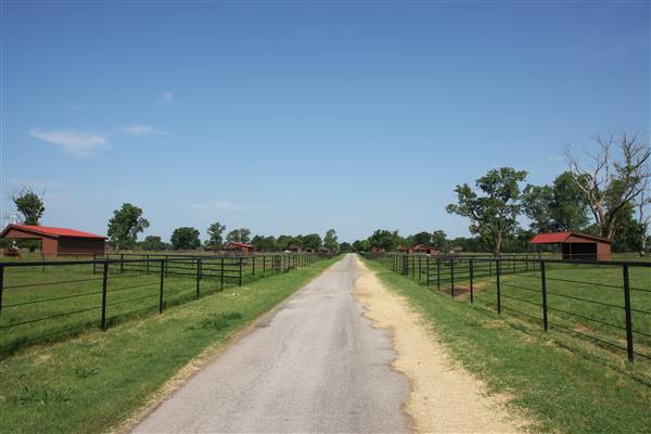 NFL Farms - Main road from circle leading into horse grazing areas and pens (7/2/2015 - Credits: Yousef Kazemi)