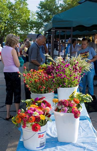 Edmond Festival Market Place (6/20/2016)