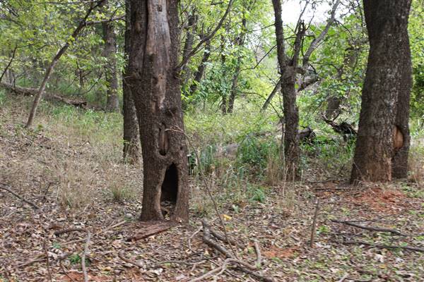 Camp DaKaNi (10/20/2017 - Credits: Christa Whetstone (intern))