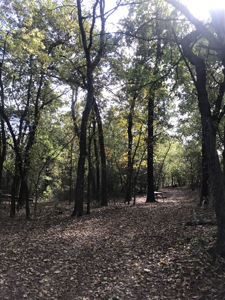 Camp DaKaNi (10/20/2017 - Credits: Yousef Kazemi)