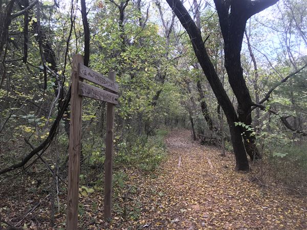 Camp DaKaNi (10/20/2017 - Credits: Yousef Kazemi)