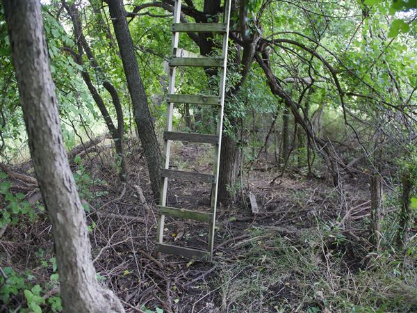 Stinchcomb Wildlife Refuge (7/31/2018 - Credits: Noah Janoe)