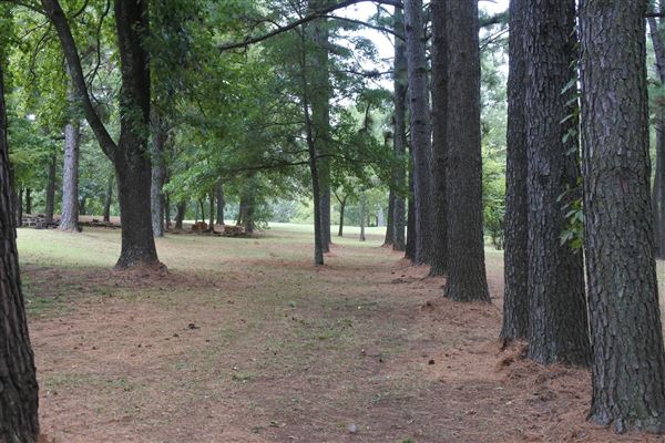 The Fairy Forest (10/10/2019 - Credits: Tyler Slawson)