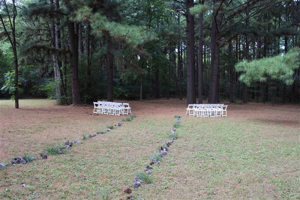 The Fairy Forest (10/10/2019 - Credits: Tyler Slawson)