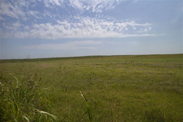Rydell Ranch - field 1 - deciduous forest land and gentle rolling sandy farm land near a river bed (7/28/2021 - Credits: Jeffrey Rydell)