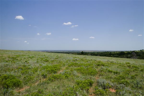 Rydell Ranch - field 2 - 2 mounds with 100' deep "red rock" canyons in between  visibility of up to 30 miles from the top of the mound Covered in mostly in eastern red cedar and some oak trees with native grasses. features slot canyons and waterfalls.  (7/28/2021 - Credits: Jeffrey Rydell)
