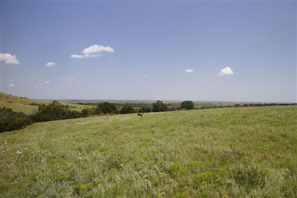 Rydell Ranch - field 2 - 2 mounds with 100' deep "red rock" canyons in between  visibility of up to 30 miles from the top of the mound Covered in mostly in eastern red cedar and some oak trees with native grasses. features slot canyons and waterfalls.  (7/28/2021 - Credits: Jeffrey Rydell)