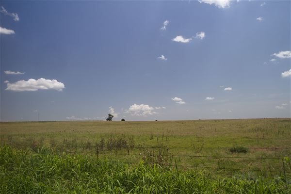Rydell Ranch - field 3 - Clear cut rolling farmland with views of up to 30 miles few trees (7/28/2021 - Credits: Jeffrey Rydell)