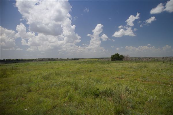 Rydell Ranch - field 6 Rolling farmland with deep canyons, large pond and  Covered in mostly in eastern red cedar and oak trees with native grasses. features slot canyons and waterfalls. (7/28/2021 - Credits: Jeffrey Rydell)