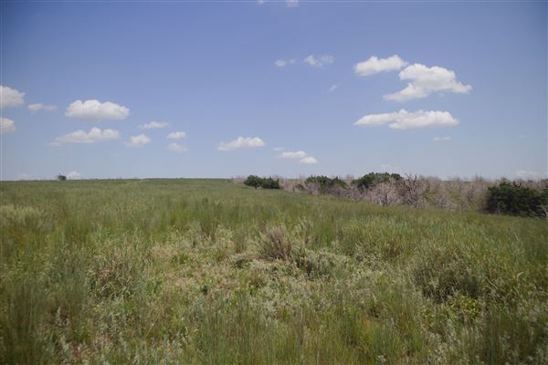 Rydell Ranch - field 6 Rolling farmland with deep canyons, large pond and  Covered in mostly in eastern red cedar and oak trees with native grasses. features slot canyons and waterfalls. (7/28/2021 - Credits: Jeffrey Rydell)