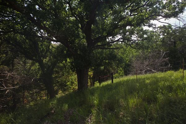 Rydell Ranch - field 6 Rolling farmland with deep canyons, large pond and  Covered in mostly in eastern red cedar and oak trees with native grasses. features slot canyons and waterfalls. (7/28/2021 - Credits: Jeffrey Rydell)