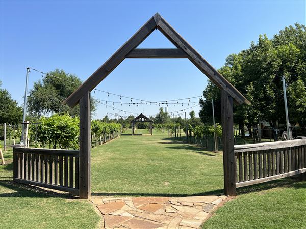 Nellis Vineyards (6/22/2022 - Credits: Yousef Kazemi / OFMO)