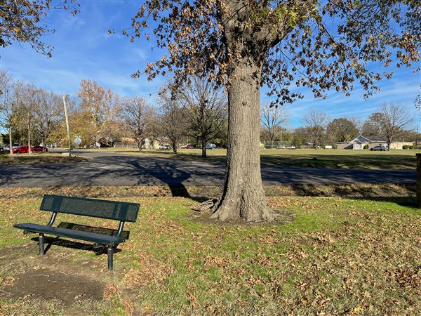 Optimist Park (11/20/2024 - Credits: Bryce Marshall)
