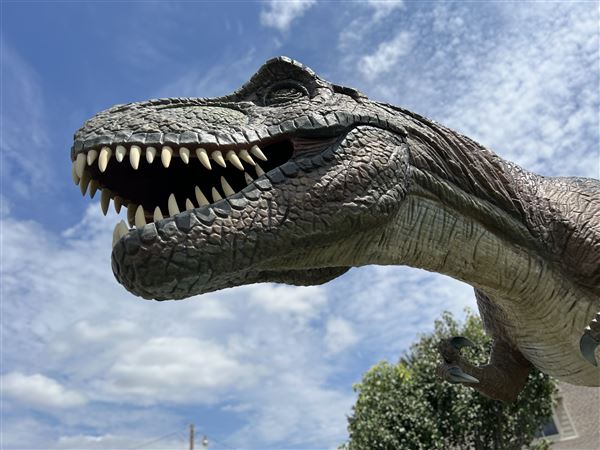 Dinosaur Photo Park (8/25/2023 - Credits: Yousef Kazemi / OF+MO)
