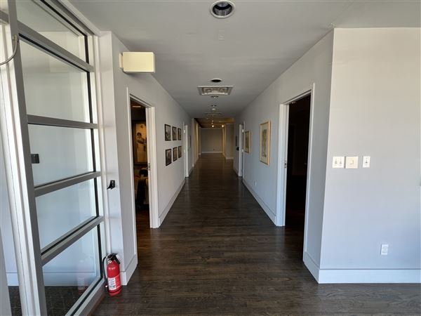 Leslie Powell Gallery (3/7/2025 - Credits: Yousef Kazemi)