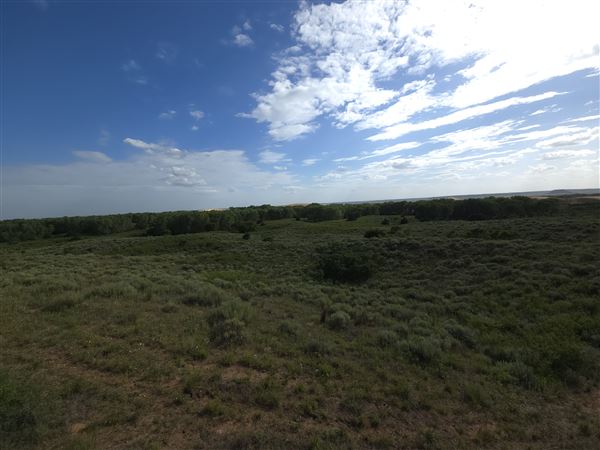 Little Sahara State Park (7/7/2025)