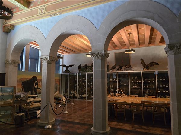 Northwestern Oklahoma State University Museum (7/2/2025 - Credits: Jeremy Zeller)