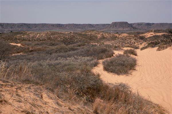 Little Sahara State Park (3/23/2026 - Credits: Travel OK)