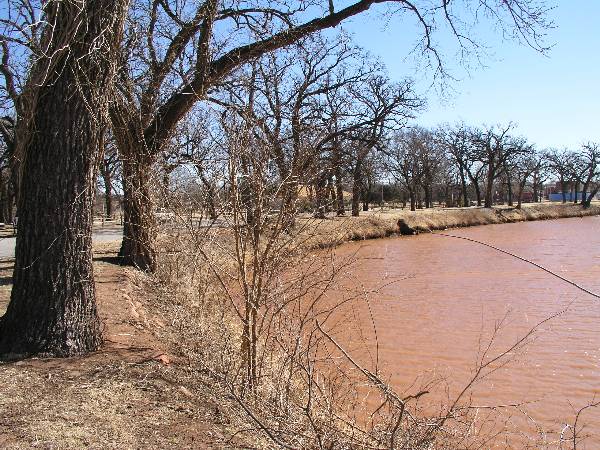 Mineral Wells Park (2/8/2009)