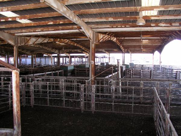 Oklahoma City Stockyards (2/9/2009)