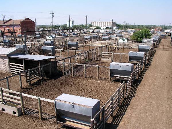 Oklahoma City Stockyards (2/9/2009)