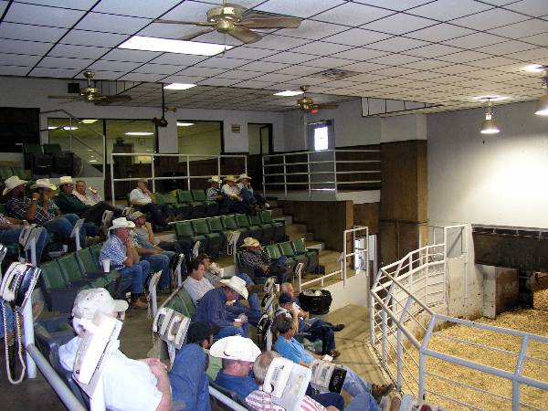 Oklahoma City Stockyards (2/9/2009)