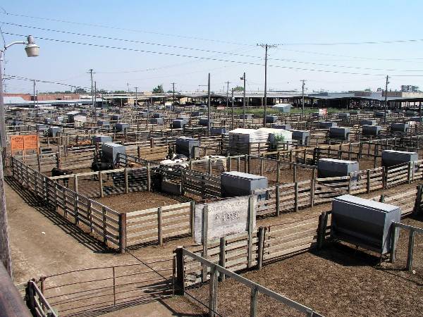 Oklahoma City Stockyards (2/9/2009)