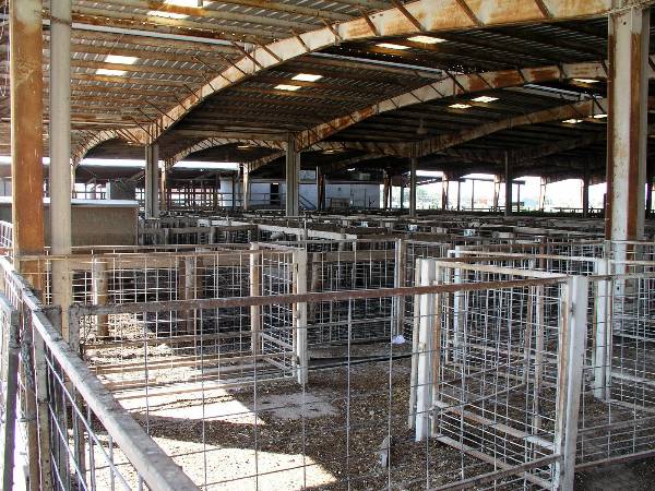 Oklahoma City Stockyards (2/9/2009)