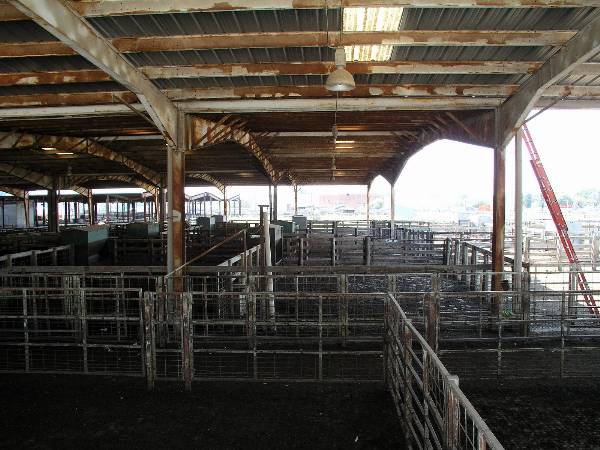 Oklahoma City Stockyards (2/9/2009)