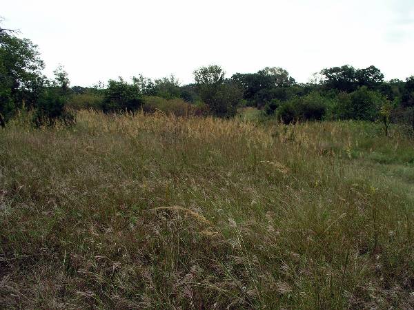 Tatanka Ranch (2/11/2009)