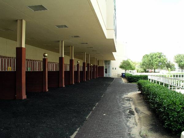 Remington Park (2/11/2009)