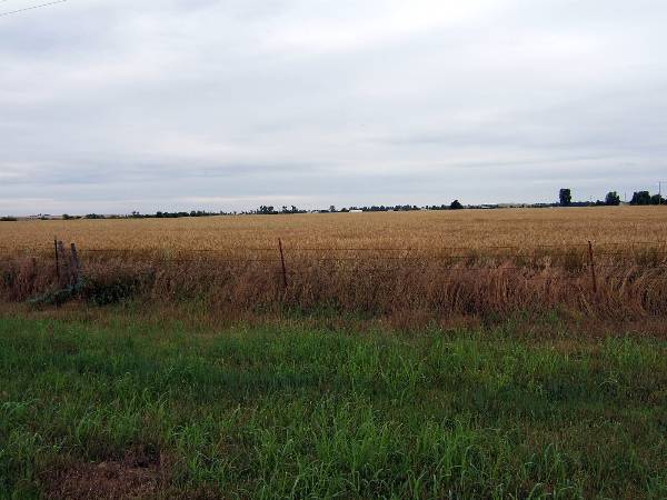 Route 66- El Reno (2/11/2009)