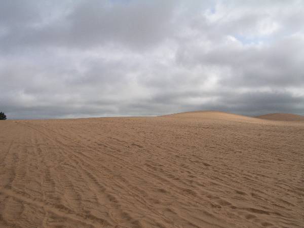 Little Sahara State Park (3/18/2009)