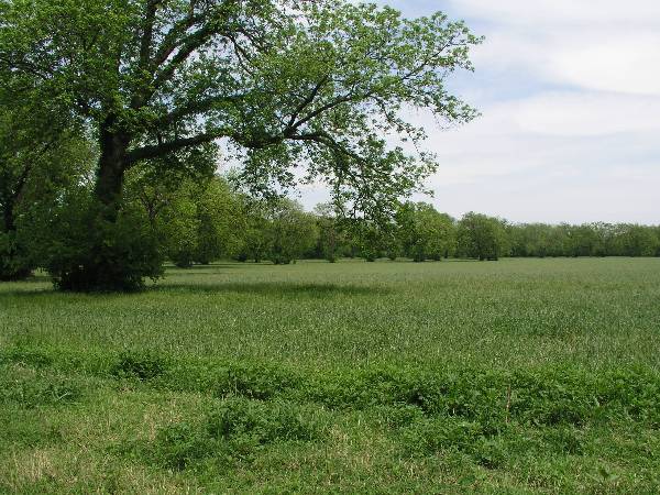 Sugarloaf Ranch (6/24/2009)