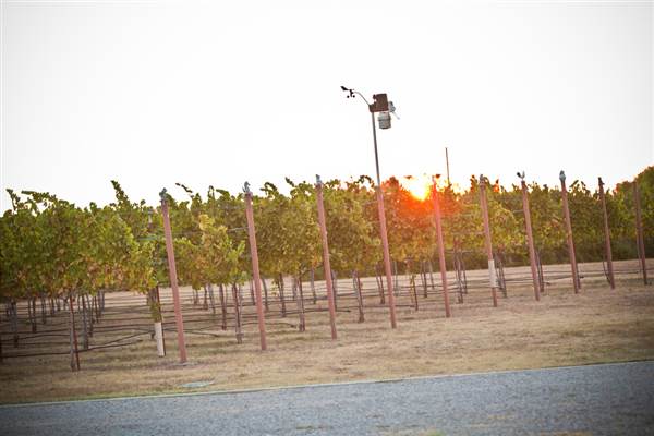 Ingel's Winery (2/26/2014 - Credits: Oklahoma Tourism - TravelOK)