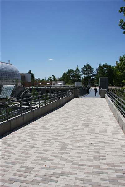 Myriad Botanical Gardens (7/7/2014)
