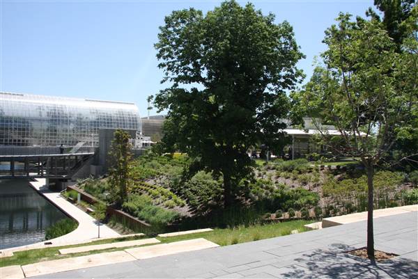 Myriad Botanical Gardens (7/7/2014)