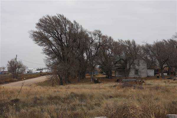 Stout House (12/18/2014 - Credits: Yousef Kazemi)