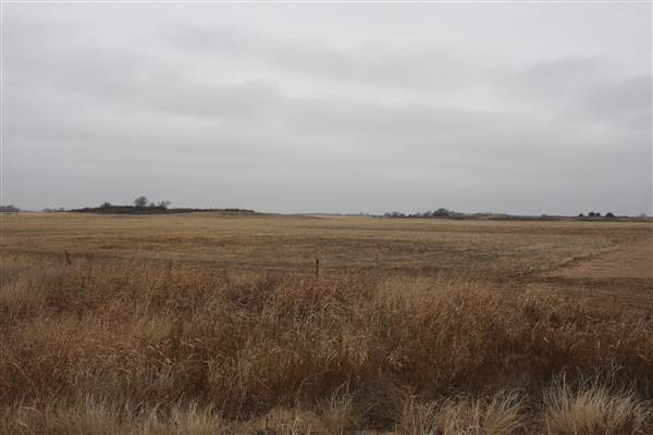 Nightmare in the Country - Kenton Ranch (12/10/2014 - Credits: Yousef Kazemi)