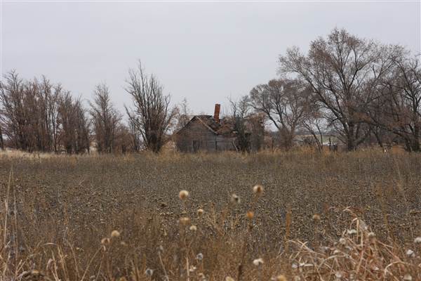 Abandoned Barn (12/10/2014 - Credits: Yousef Kazemi)