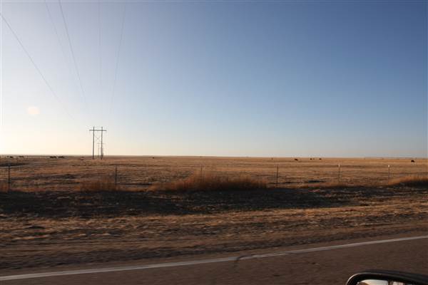 McBee Ranch (12/11/2014 - Credits: Yousef Kazemi)