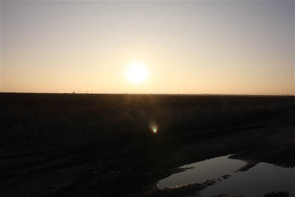 Hwy 412/36 - Guymon Area (12/11/2014 - Credits: Yousef Kazemi)
